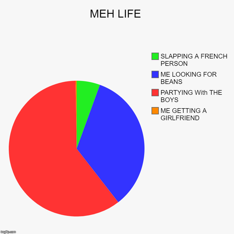 MEH LIFE | ME GETTING A GIRLFRIEND, PARTYING With THE BOYS, ME LOOKING FOR BEANS, SLAPPING A FRENCH PERSON | image tagged in charts,pie charts | made w/ Imgflip chart maker