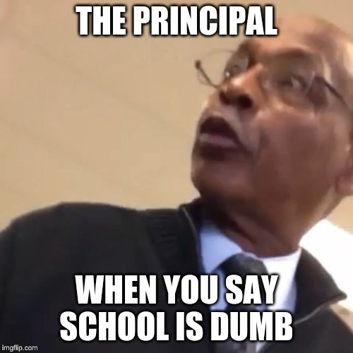 Whoever Threw That Paper, Yo Mom's A Hoe | THE PRINCIPAL; WHEN YOU SAY SCHOOL IS DUMB | image tagged in whoever threw that paper yo mom's a hoe | made w/ Imgflip meme maker