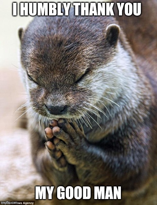 Thank you Lord Otter | I HUMBLY THANK YOU MY GOOD MAN | image tagged in thank you lord otter | made w/ Imgflip meme maker