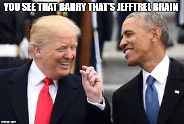 YOU SEE THAT BARRY THAT'S JEFFTREL BRAIN | made w/ Imgflip meme maker