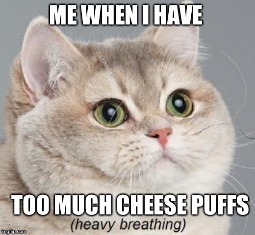 Heavy Breathing Cat Meme | ME WHEN I HAVE; TOO MUCH CHEESE PUFFS | image tagged in memes,heavy breathing cat,lol so funny,funny memes,hilarious | made w/ Imgflip meme maker