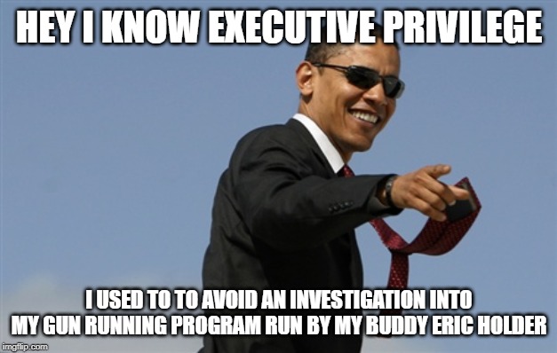 Cool Obama Meme | HEY I KNOW EXECUTIVE PRIVILEGE I USED TO TO AVOID AN INVESTIGATION INTO MY GUN RUNNING PROGRAM RUN BY MY BUDDY ERIC HOLDER | image tagged in memes,cool obama | made w/ Imgflip meme maker