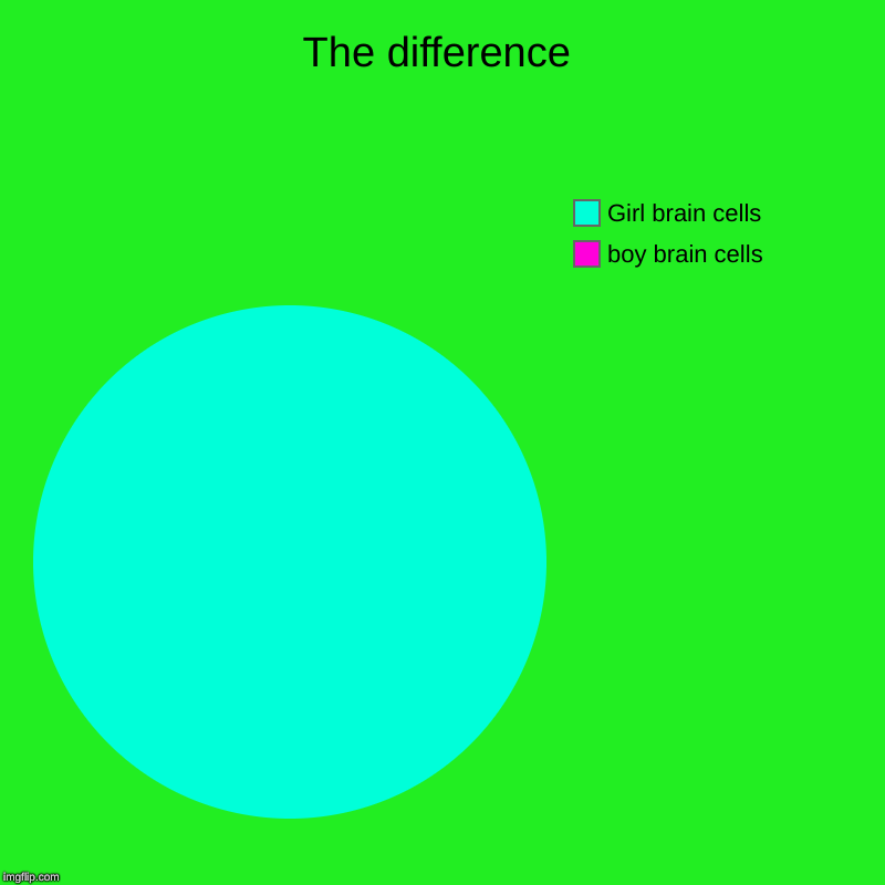 The difference | boy brain cells, Girl brain cells | image tagged in charts,pie charts | made w/ Imgflip chart maker