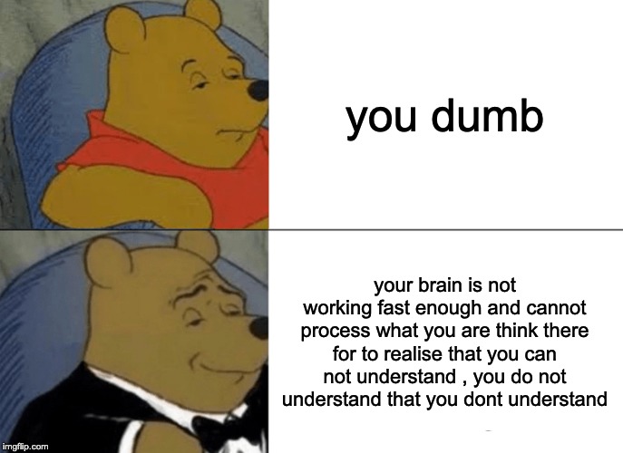 Tuxedo Winnie The Pooh | you dumb; your brain is not working fast enough and cannot process what you are think there for to realise that you can not understand , you do not understand that you dont understand | image tagged in memes,tuxedo winnie the pooh | made w/ Imgflip meme maker