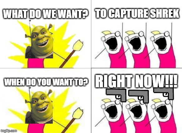 What Do We Want | WHAT DO WE WANT? TO CAPTURE SHREK; RIGHT NOW!!! WHEN DO YOU WANT TO? | image tagged in memes,what do we want | made w/ Imgflip meme maker