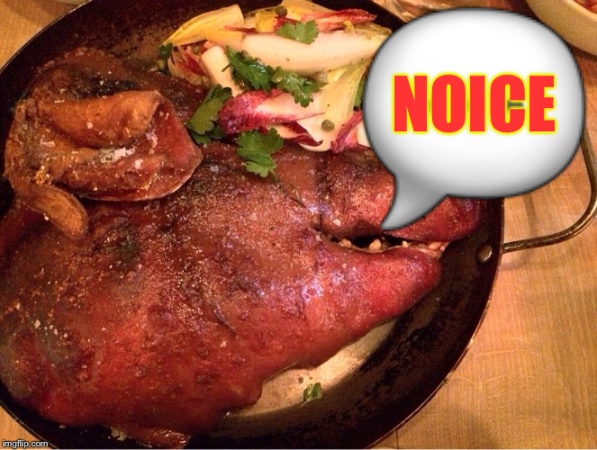 roasted pig head | ? NOICE | image tagged in roasted pig head | made w/ Imgflip meme maker