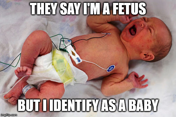 born alive senate vote | THEY SAY I'M A FETUS; BUT I IDENTIFY AS A BABY | image tagged in baby | made w/ Imgflip meme maker
