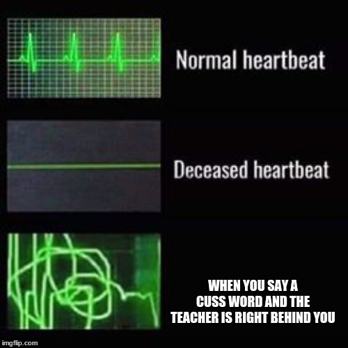heartbeat rate | WHEN YOU SAY A CUSS WORD AND THE TEACHER IS RIGHT BEHIND YOU | image tagged in heartbeat rate | made w/ Imgflip meme maker