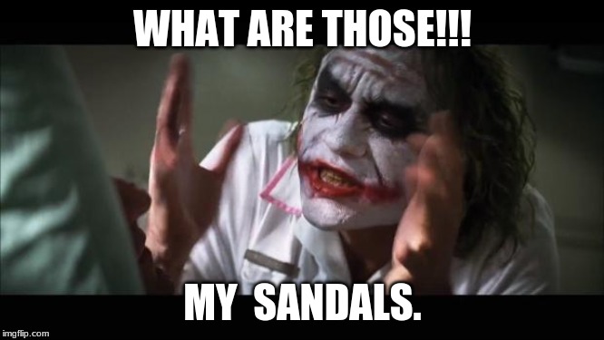 And everybody loses their minds | WHAT ARE THOSE!!! MY  SANDALS. | image tagged in memes,and everybody loses their minds | made w/ Imgflip meme maker