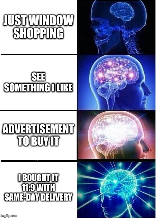 Expanding Brain Meme | JUST WINDOW SHOPPING; SEE SOMETHING I LIKE; ADVERTISEMENT TO BUY IT; I BOUGHT IT 11:9 WITH SAME-DAY DELIVERY | image tagged in memes,expanding brain | made w/ Imgflip meme maker