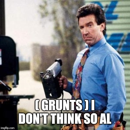 Tim Allen | ( GRUNTS ) I DON'T THINK SO AL | image tagged in tim allen | made w/ Imgflip meme maker