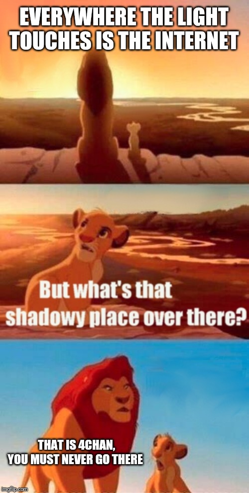 Simba Shadowy Place | EVERYWHERE THE LIGHT TOUCHES IS THE INTERNET; THAT IS 4CHAN, YOU MUST NEVER GO THERE | image tagged in memes,simba shadowy place | made w/ Imgflip meme maker