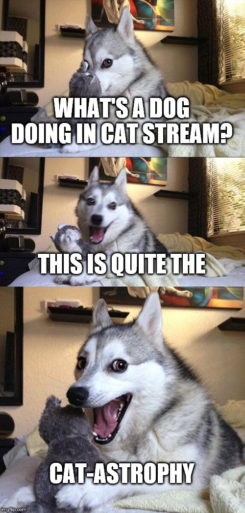 Bad Pun Dog Meme | WHAT'S A DOG DOING IN CAT STREAM? THIS IS QUITE THE; CAT-ASTROPHY | image tagged in memes,bad pun dog | made w/ Imgflip meme maker