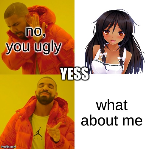 Drake Hotline Bling Meme |  no, you ugly; YESS; what about me | image tagged in memes,drake hotline bling | made w/ Imgflip meme maker
