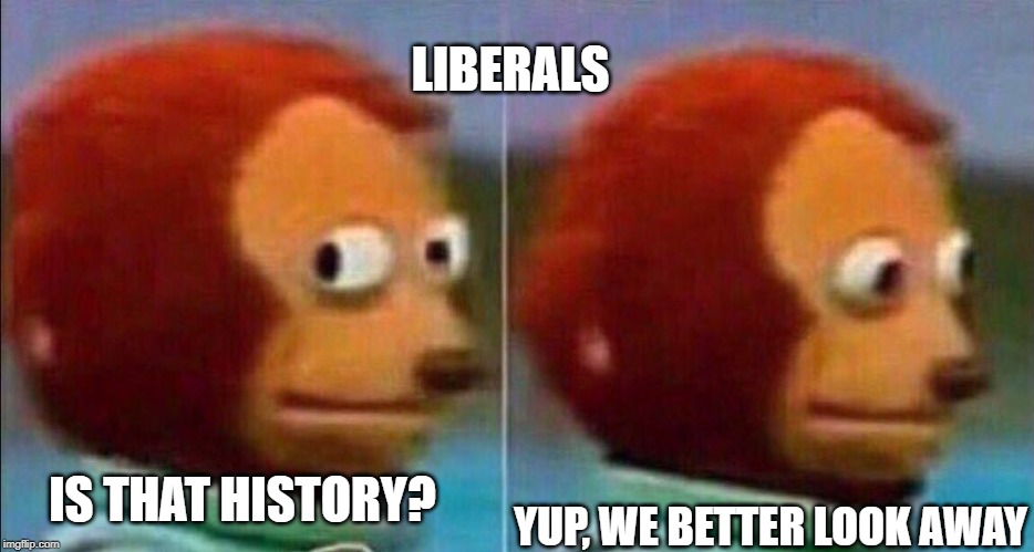 Monkey looking away | IS THAT HISTORY? YUP, WE BETTER LOOK AWAY LIBERALS | image tagged in monkey looking away | made w/ Imgflip meme maker