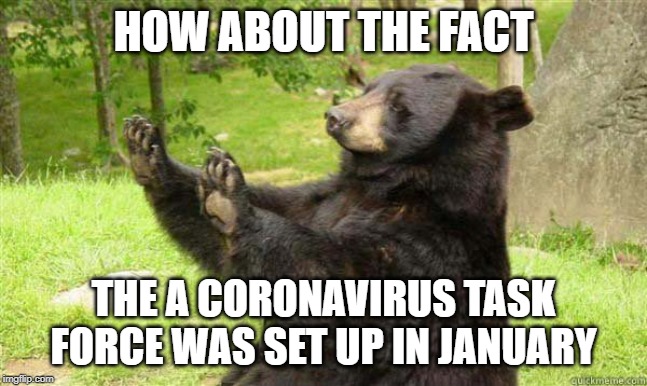 How about no bear | HOW ABOUT THE FACT THE A CORONAVIRUS TASK FORCE WAS SET UP IN JANUARY | image tagged in how about no bear | made w/ Imgflip meme maker