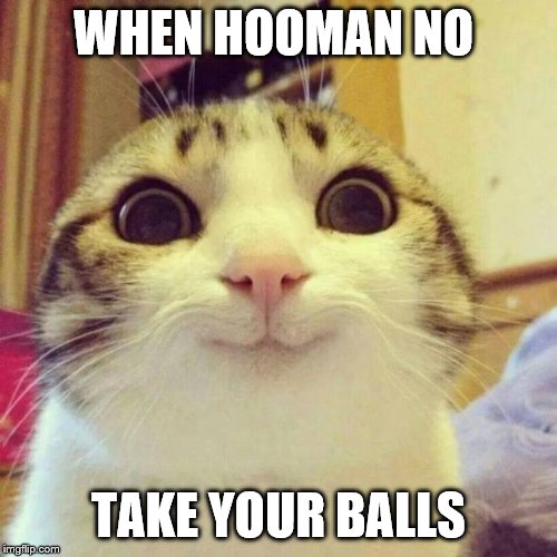 Smiling Cat Meme | WHEN HOOMAN NO; TAKE YOUR BALLS | image tagged in memes,smiling cat | made w/ Imgflip meme maker