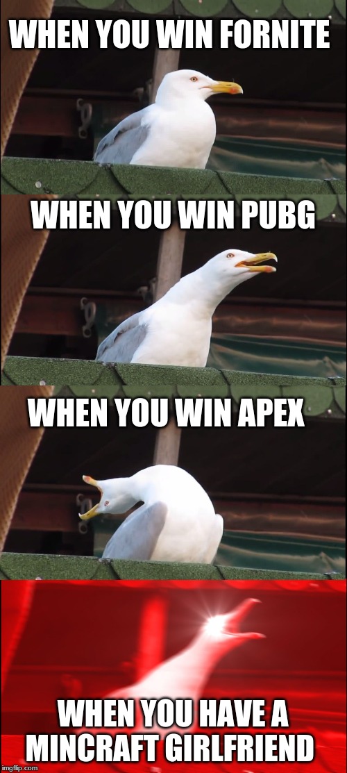 Inhaling Seagull Meme | WHEN YOU WIN FORNITE; WHEN YOU WIN PUBG; WHEN YOU WIN APEX; WHEN YOU HAVE A MINECRAFT GIRLFRIEND | image tagged in memes,inhaling seagull | made w/ Imgflip meme maker