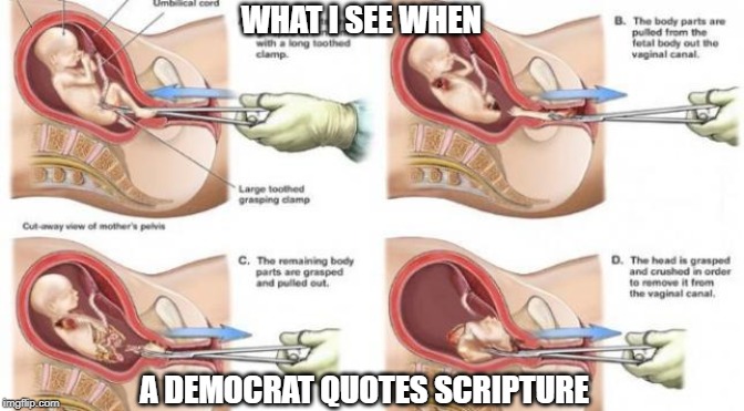 WHAT I SEE WHEN; A DEMOCRAT QUOTES SCRIPTURE | image tagged in abortion,abortion is murder,democrats,election 2020,religion,religious | made w/ Imgflip meme maker