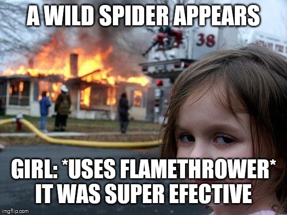 Disaster Girl Meme | A WILD SPIDER APPEARS; GIRL: *USES FLAMETHROWER* IT WAS SUPER EFECTIVE | image tagged in memes,disaster girl | made w/ Imgflip meme maker