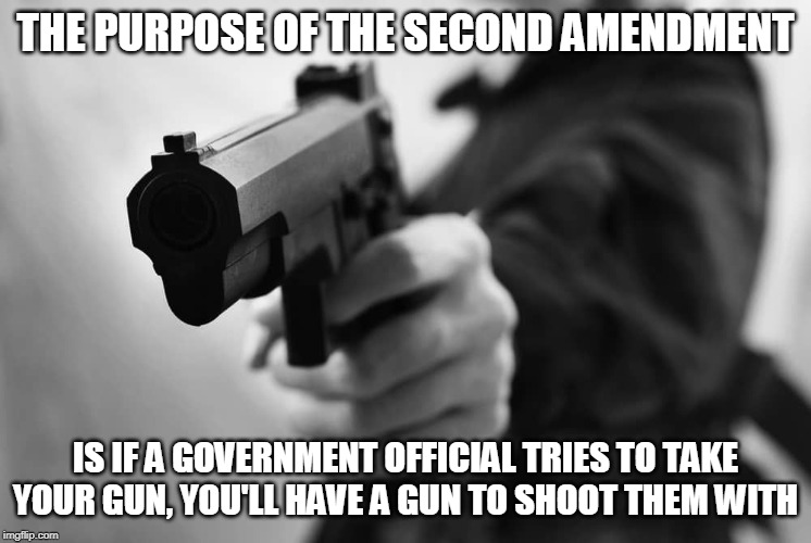 Never Forget This |  THE PURPOSE OF THE SECOND AMENDMENT; IS IF A GOVERNMENT OFFICIAL TRIES TO TAKE YOUR GUN, YOU'LL HAVE A GUN TO SHOOT THEM WITH | image tagged in guns,second amendment,government,shooting | made w/ Imgflip meme maker
