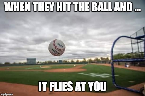 baseball | WHEN THEY HIT THE BALL AND ... IT FLIES AT YOU | image tagged in baseball | made w/ Imgflip meme maker