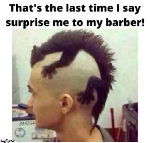 Hair cut | image tagged in rat hat,haircut,wtfisthat,jat4264 | made w/ Imgflip meme maker