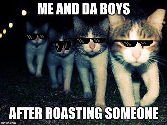Wrong Neighboorhood Cats | ME AND DA BOYS; AFTER ROASTING SOMEONE | image tagged in memes,wrong neighboorhood cats | made w/ Imgflip meme maker