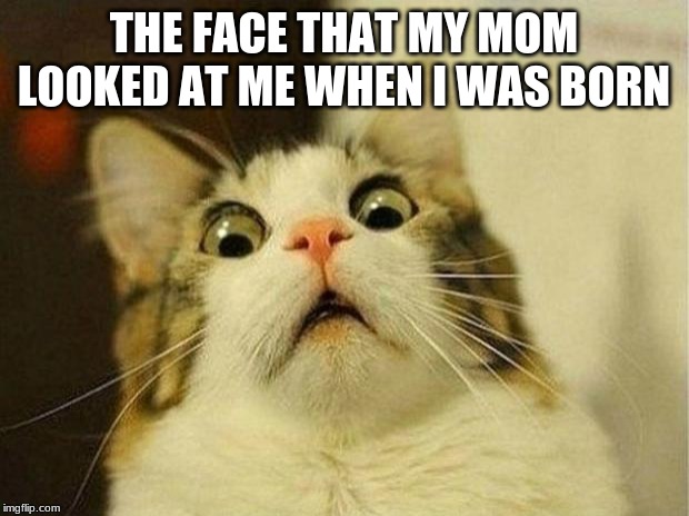 Scared Cat | THE FACE THAT MY MOM LOOKED AT ME WHEN I WAS BORN | image tagged in memes,scared cat | made w/ Imgflip meme maker