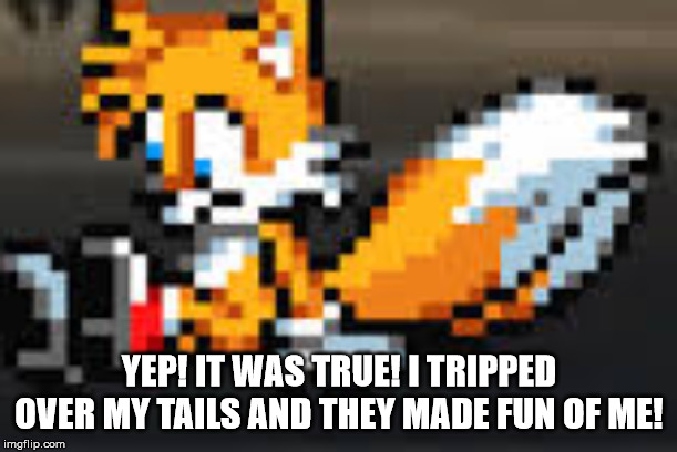 YEP! IT WAS TRUE! I TRIPPED OVER MY TAILS AND THEY MADE FUN OF ME! | made w/ Imgflip meme maker