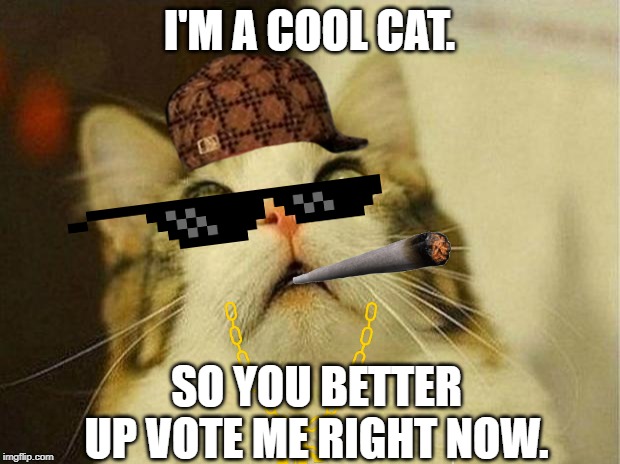 Scared Cat Meme | I'M A COOL CAT. SO YOU BETTER UP VOTE ME RIGHT NOW. | image tagged in memes,scared cat | made w/ Imgflip meme maker