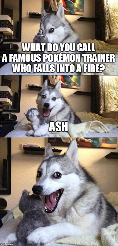 Bad Pun Dog Meme | WHAT DO YOU CALL A FAMOUS POKÉMON TRAINER WHO FALLS INTO A FIRE? ASH | image tagged in memes,bad pun dog | made w/ Imgflip meme maker