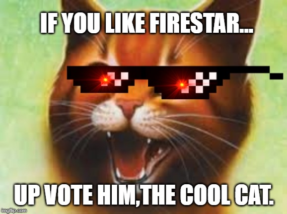 Warrior cats Firestar | IF YOU LIKE FIRESTAR... UP VOTE HIM,THE COOL CAT. | image tagged in warrior cats firestar | made w/ Imgflip meme maker