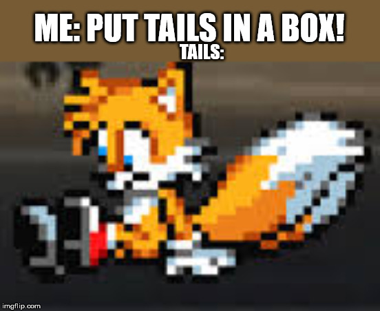 depressed tails | ME: PUT TAILS IN A BOX! TAILS: | image tagged in sad tails | made w/ Imgflip meme maker