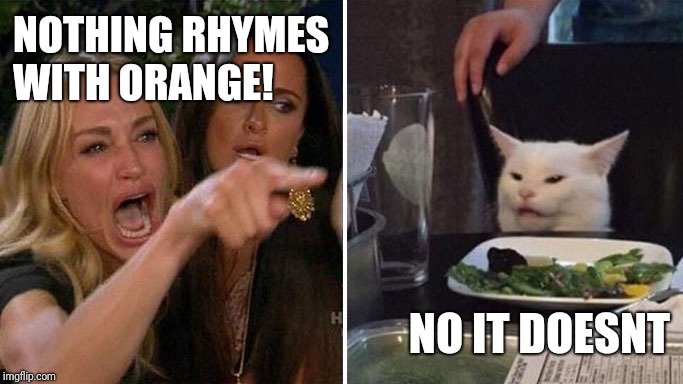 Angry lady cat | NOTHING RHYMES 
WITH ORANGE! NO IT DOESNT | image tagged in angry lady cat | made w/ Imgflip meme maker
