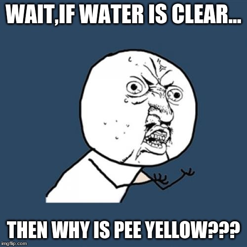 Y U No | WAIT,IF WATER IS CLEAR... THEN WHY IS PEE YELLOW??? | image tagged in memes,y u no | made w/ Imgflip meme maker
