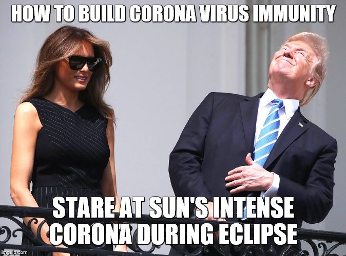 Dotard gains coronavirus immunity | HOW TO BUILD CORONA VIRUS IMMUNITY; STARE AT SUN'S INTENSE CORONA DURING ECLIPSE | image tagged in dotard | made w/ Imgflip meme maker