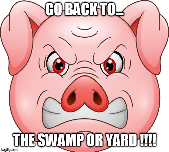 GO BACK TO... THE SWAMP OR YARD !!!! | made w/ Imgflip meme maker