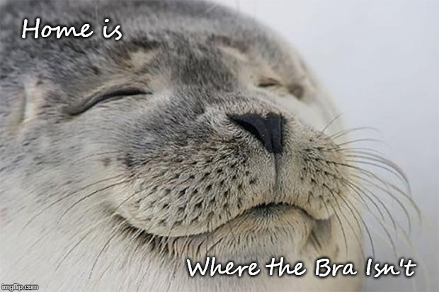 Satisfied Seal Meme | Home is; Where the Bra Isn't | image tagged in memes,satisfied seal | made w/ Imgflip meme maker