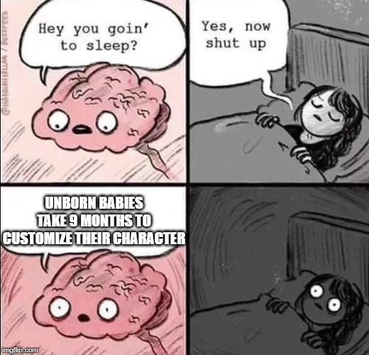 character customization | UNBORN BABIES TAKE 9 MONTHS TO CUSTOMIZE THEIR CHARACTER | image tagged in waking up brain | made w/ Imgflip meme maker