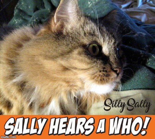 Silly Sally Hears A Who! | image tagged in silly sally,cats,dr seuss | made w/ Imgflip meme maker