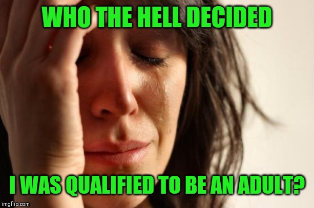 First World Problems | WHO THE HELL DECIDED; I WAS QUALIFIED TO BE AN ADULT? | image tagged in memes,first world problems | made w/ Imgflip meme maker
