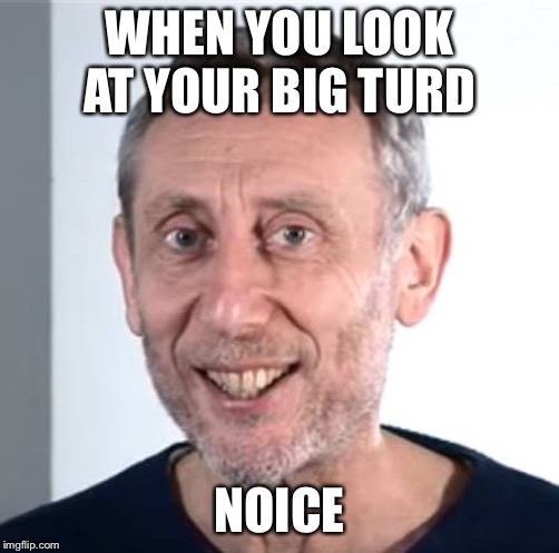 nice Michael Rosen | WHEN YOU LOOK AT YOUR BIG TURD; NOICE | image tagged in nice michael rosen | made w/ Imgflip meme maker