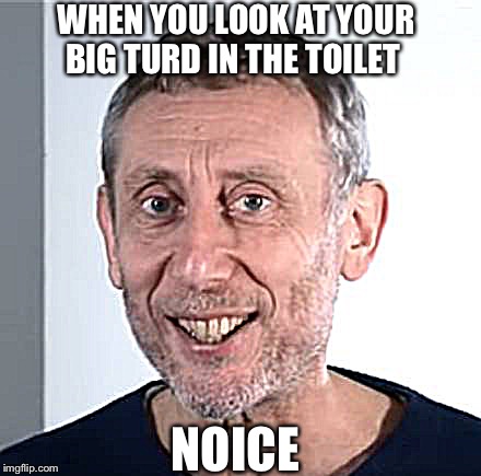 nice Michael Rosen | WHEN YOU LOOK AT YOUR BIG TURD IN THE TOILET; NOICE | image tagged in nice michael rosen | made w/ Imgflip meme maker