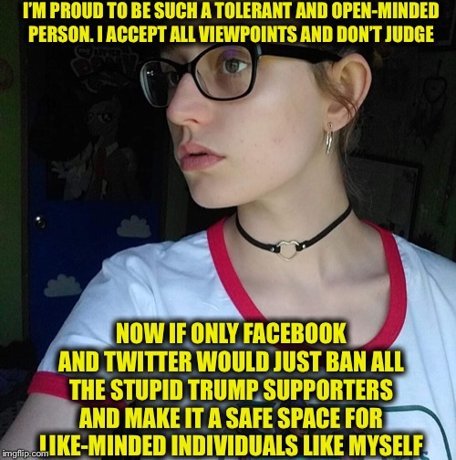 Facebook leftist | I’M PROUD TO BE SUCH A TOLERANT AND OPEN-MINDED PERSON. I ACCEPT ALL VIEWPOINTS AND DON’T JUDGE; NOW IF ONLY FACEBOOK AND TWITTER WOULD JUST BAN ALL THE STUPID TRUMP SUPPORTERS AND MAKE IT A SAFE SPACE FOR LIKE-MINDED INDIVIDUALS LIKE MYSELF | image tagged in facebook leftist,liberal hypocrisy,liberal logic,liberals,conservatives,democrats | made w/ Imgflip meme maker