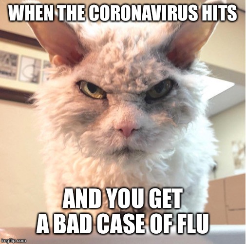 The only thing I want to do more than beat the crap out of everyone is not move a muscle | WHEN THE CORONAVIRUS HITS; AND YOU GET A BAD CASE OF FLU | image tagged in not amused,flu,funny memes,coronavirus,sucks | made w/ Imgflip meme maker