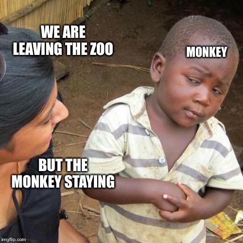 Third World Skeptical Kid Meme | WE ARE LEAVING THE ZOO; MONKEY; BUT THE MONKEY STAYING | image tagged in memes,third world skeptical kid | made w/ Imgflip meme maker