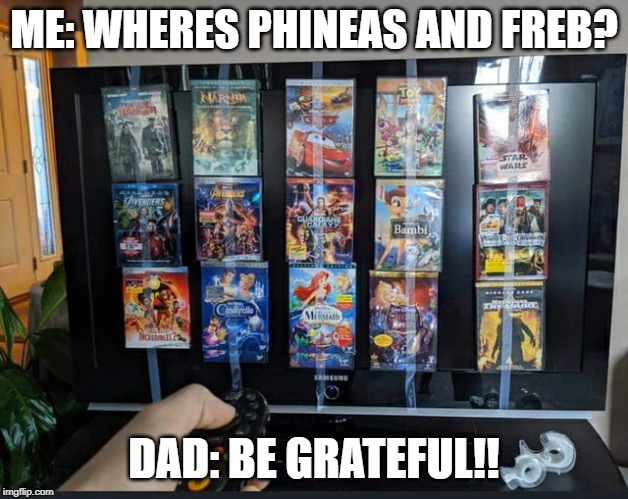 Finally Got Disney Plus | ME: WHERES PHINEAS AND FREB? DAD: BE GRATEFUL!! | image tagged in finally got disney plus | made w/ Imgflip meme maker