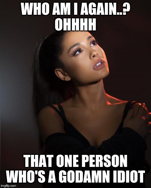 Arianna Grande | WHO AM I AGAIN..?
OHHHH; THAT ONE PERSON WHO'S A GODAMN IDIOT | image tagged in arianna grande | made w/ Imgflip meme maker
