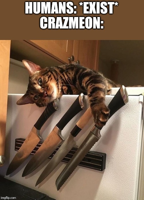 Cat with Knives | HUMANS: *EXIST*
CRAZMEON: | image tagged in cat with knives | made w/ Imgflip meme maker